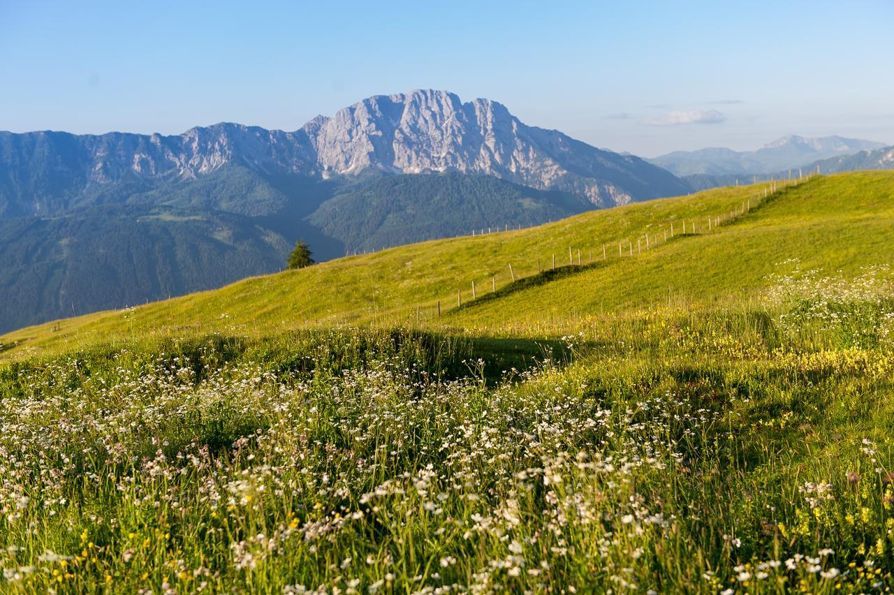 Sattleggers Alpenhof & Feriensternwarte Greifenburg Exterior foto